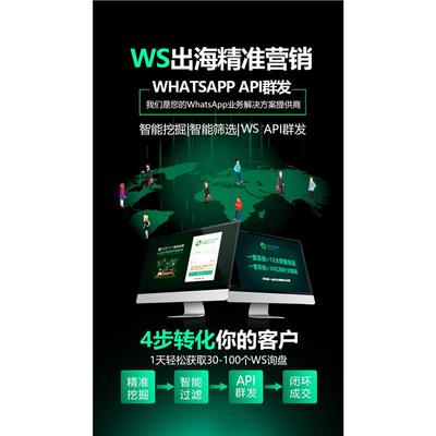 跨境新引擎 “萬單哥”獨(dú)立站引流新模式與浙江軟件開發(fā)的力量