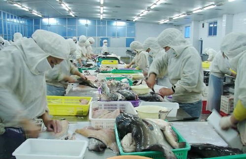 霞浦縣電商物流園即將投入使用,集辦公 倉儲 快遞物流 互聯網 直播一體化